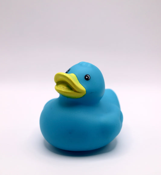 Blue Duck