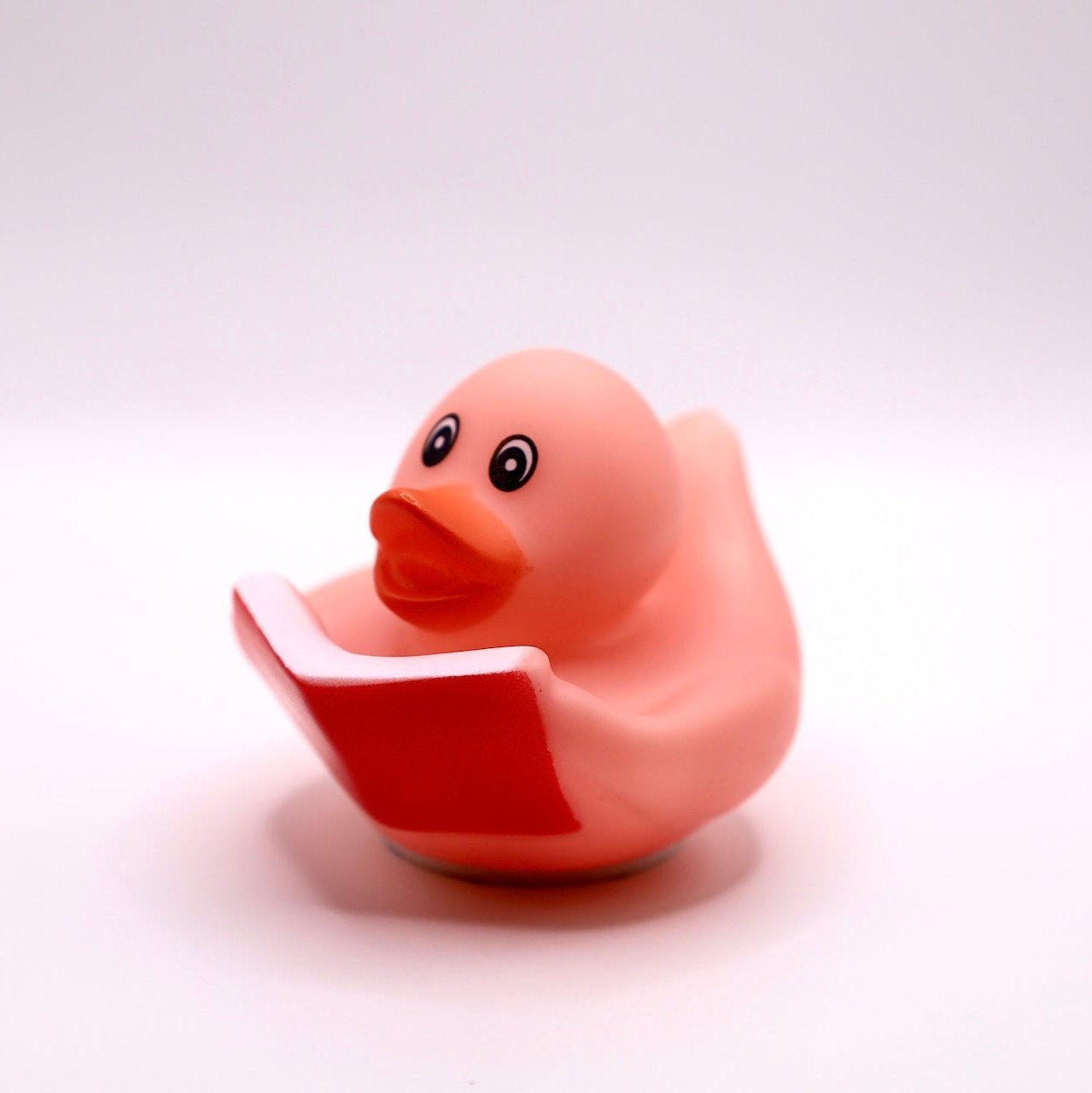 Pink Reading Duck