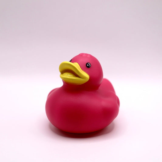 Fuchsia Duck