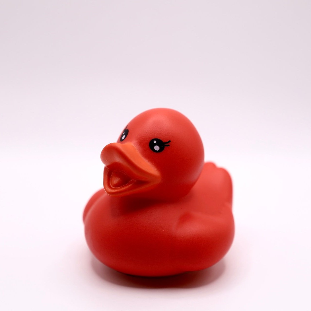 Red Duck