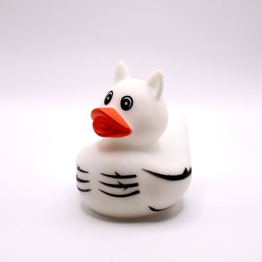 White Tiger Duck